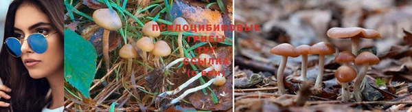 прущая мука Семикаракорск